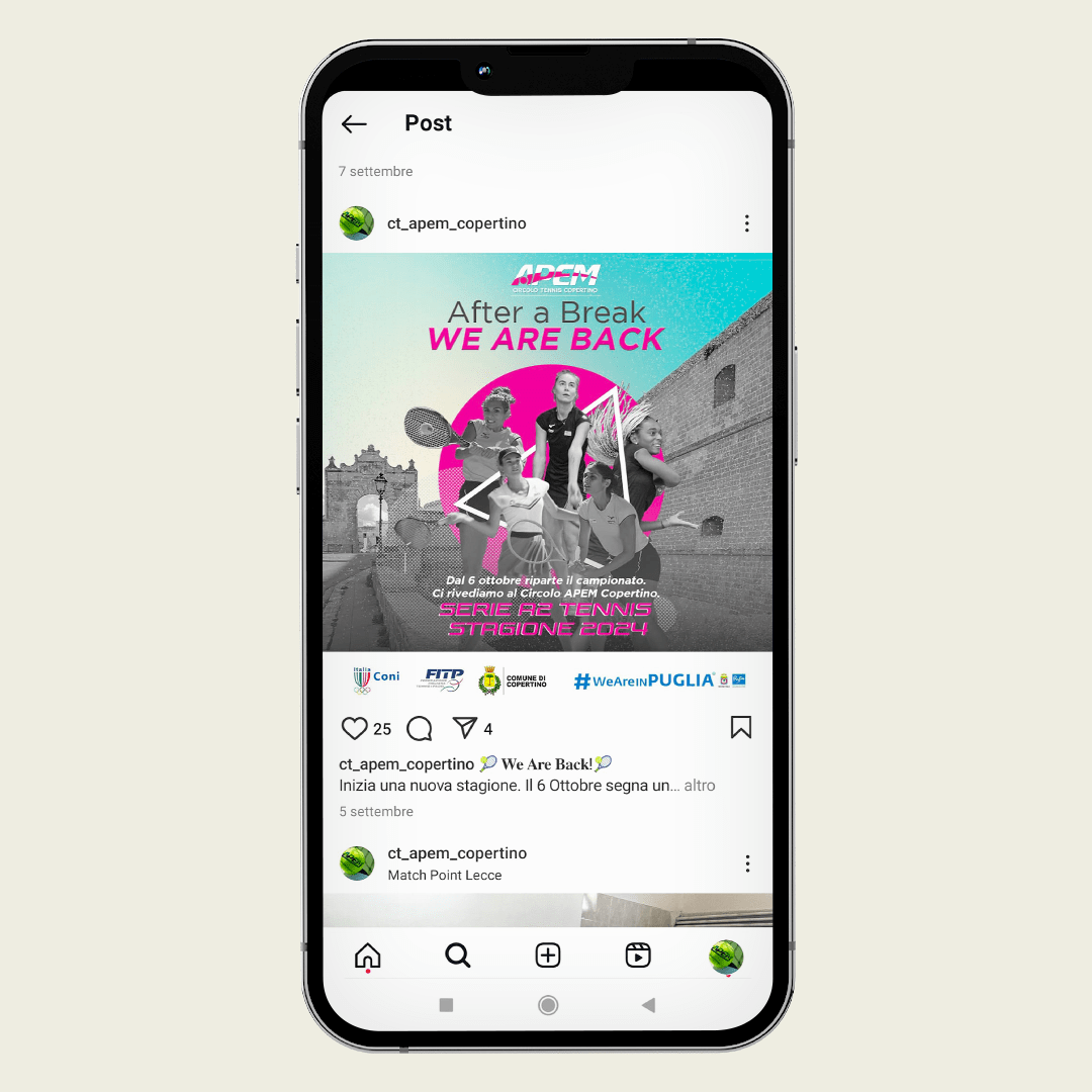 apem-copertino-visual-grafica-concept